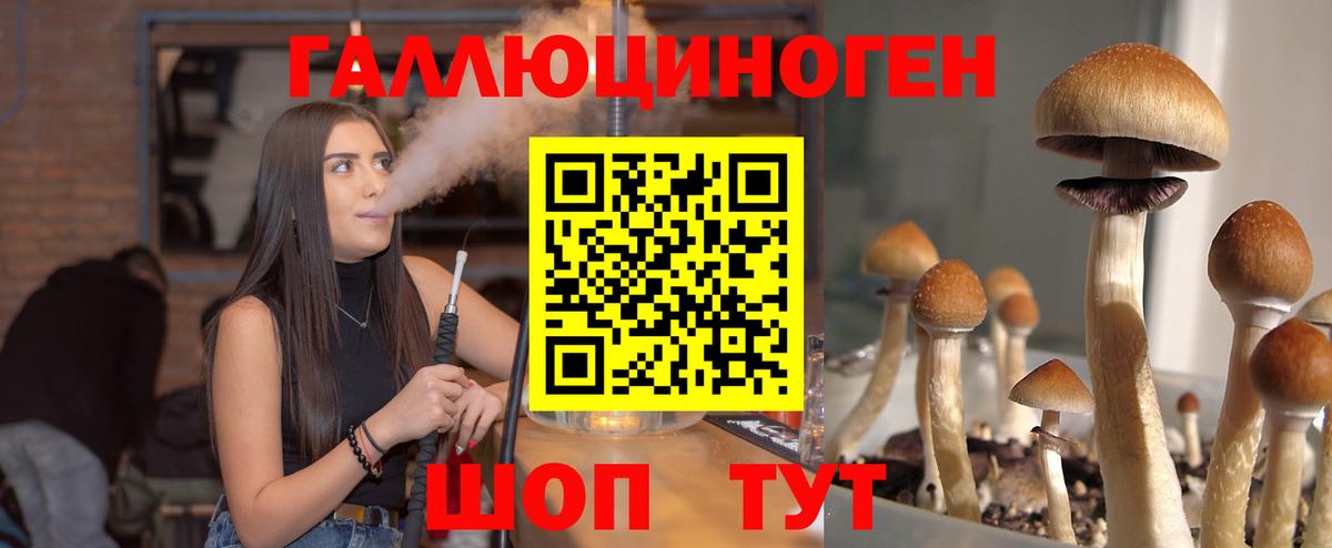 Галлюциногенные грибы мухоморы  Вход с VPN  Будённовск 
